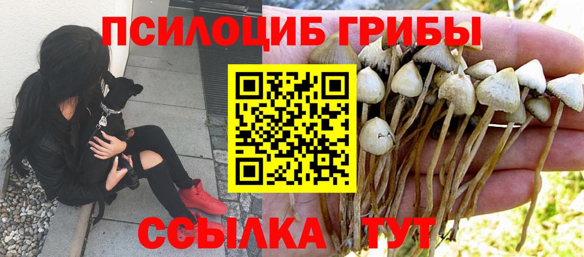Галлюциногенные грибы прущие грибы Валуйки